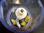 Salade de melon meringuées - 1.2