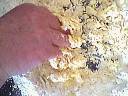 Pizza aux brocolis - 2.2