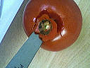 Omelette farcie au crabe - 4.2