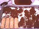Tiramisu - 11.1