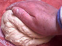 Pain paysan - 5.3