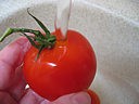 Tomates farcies et sauce aux haricots secs - 9.1