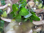Soupe de champignons et pommes de terre - 12.2