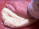 Pain brioché aux fines herbes - 9.1