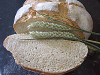 Pain de campagne au poolish - 20.1