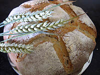 Pain de campagne au poolish - 20.2