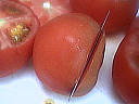 Tomates farcies - 3.1