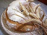 Image : Pain en couronne au poolish