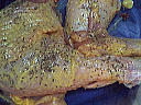 Poulet grillé au thym - 2.3