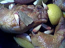 Poulet au miel - 3.1