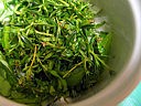 Sauce tomates aux herbes - 7.1