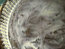 Tarte aux citrons - 13.1