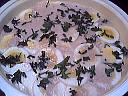 Riz au saumon rose - 10.1