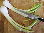 Purée de carottes aux oignons - 1.2