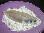 Soles sauce à l'oseille - 10.2