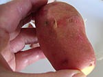 Pommes de terre et patates douces aux cèpes - 8.1
