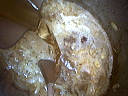 Poulet au cidre - 6.2