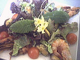 Image : Salade tiède de moules aux primevères