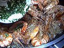 Salade tiède de moules aux primevères - 3.1