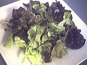 Salade tiède de moules aux primevères - 4.1