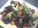 Salade tiède de moules aux primevères - 4.2