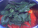 Lasagnes aux orties - 5.1