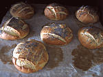 Pain façon Arabe - 14.2