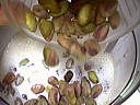 Flans aux pistaches - 5.2