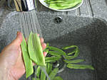 Espadon aux haricots mange-tout façon chinoise - 1.2