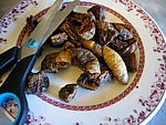 Rissoles au foie gras - 3.1