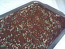 Gâteau de Grand'mère - 12.2