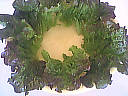 Salade au cervelas - 5.1