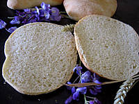 Image : Focacia au poolish