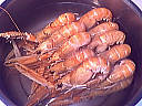 Foie gras aux langoustines - 5.3