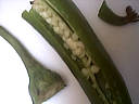 Tarte aux courgettes et piment doux - 1.1