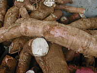 Image : Féculents