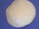 Pâton