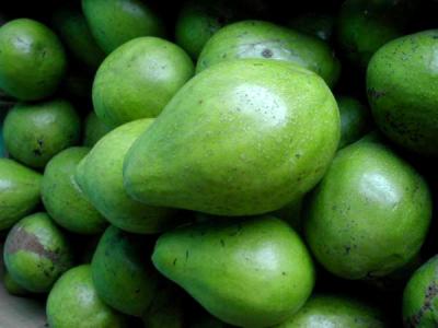 Avocat