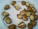 Image : Cribler