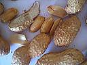 Décortiquer