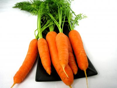 Photo : carottes