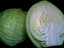 Image : Acide folique, vitamine B9