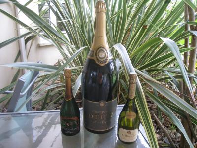 Image : Champagne - champagne-mahulasem