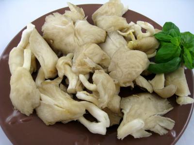 Image : Pleurote  - Pleurote