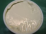 Image : Mascarpone