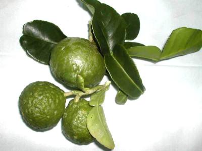 Image : Combava - combava fruits