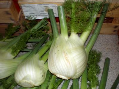 Image : Fenouil - Des fenouils
