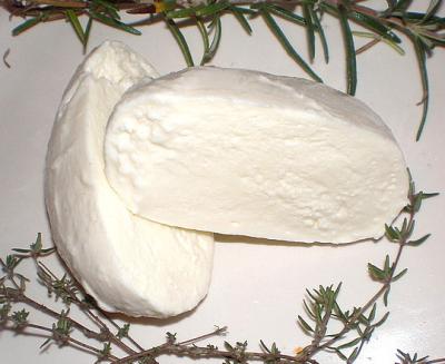 Photo : Fromage Mozzarelle