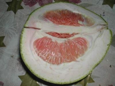 Fiche de cuisine : Pomélo, Pamplemousse