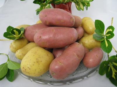 Image : Pomme de terre - Pomme de terre